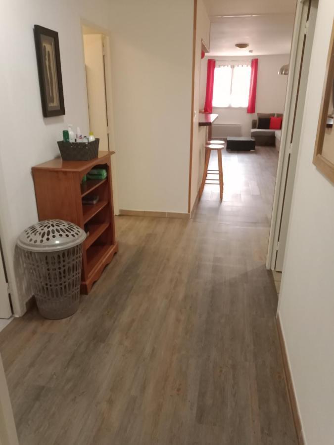 Superbe T3 De 85 Metres Carres Apartman Toulouse Kültér fotó